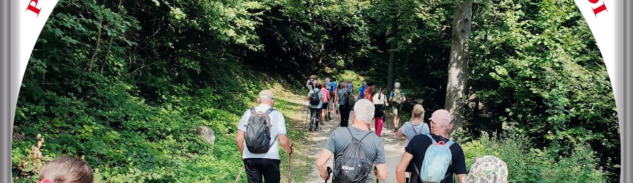 PASSEGGIATA MUSICALE